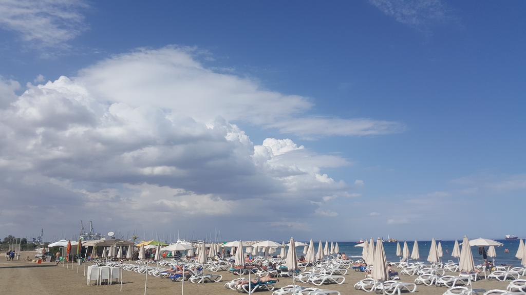 Alex 31 Διαμέρισμα *